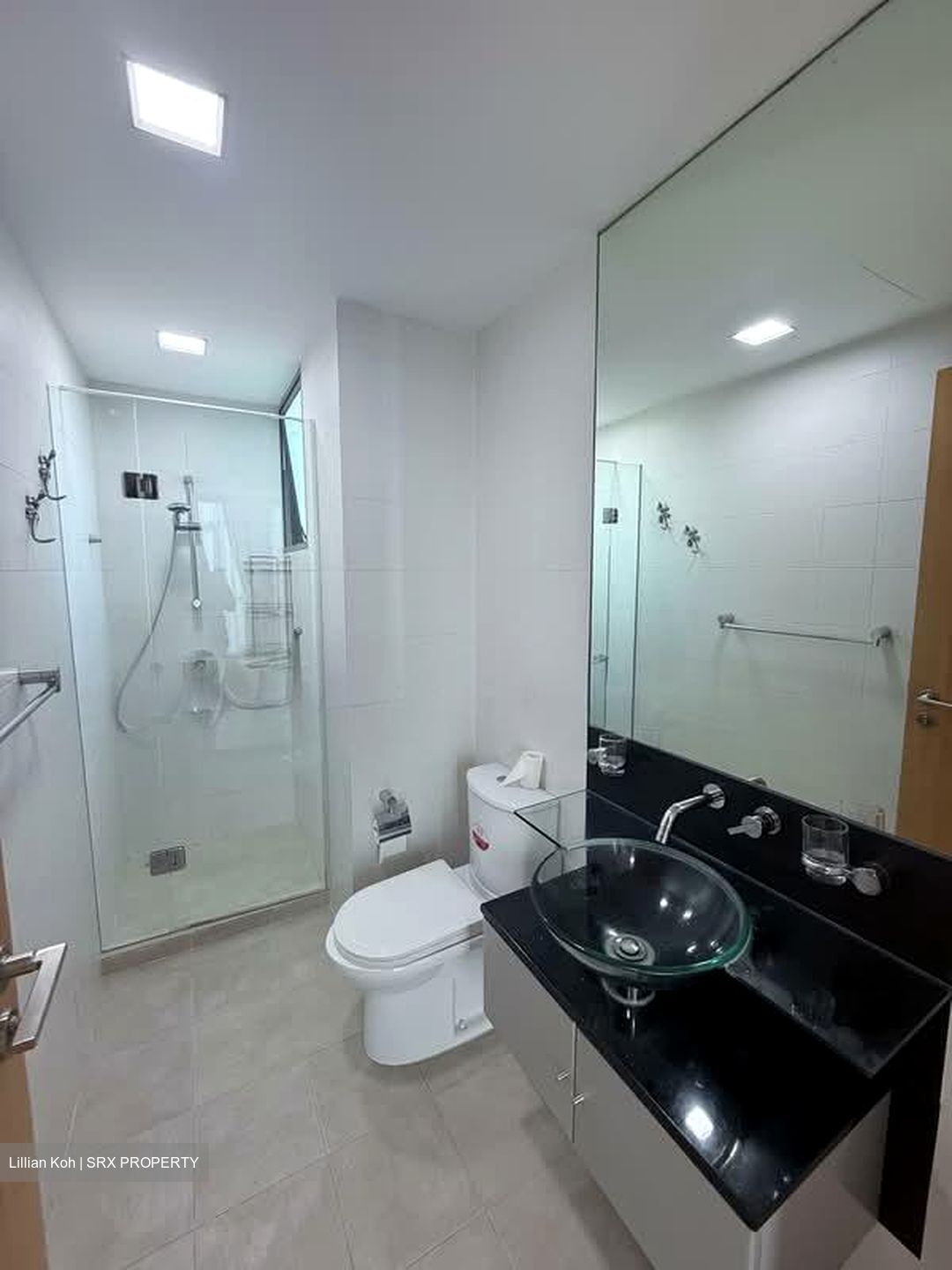 Malvern Springs (D15), Condominium #591886861